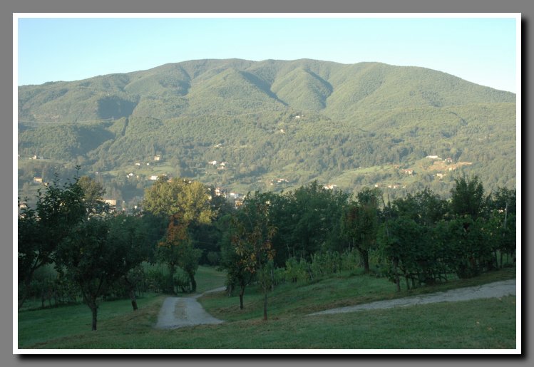 Italyday4-01