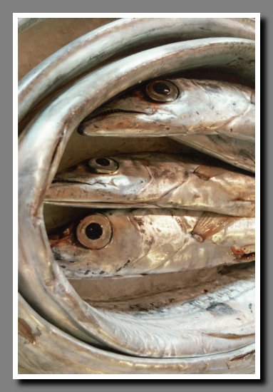Lagos Fish market